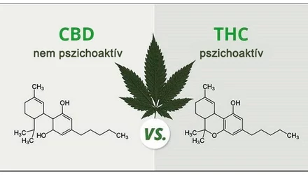 A CBD pszichoaktív?
