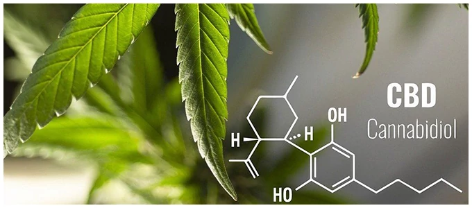 Mi az a CBD?